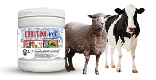 Animal Feed Supplement Manufacturers | Suppliers India | Vijayawada |  PVSLabs