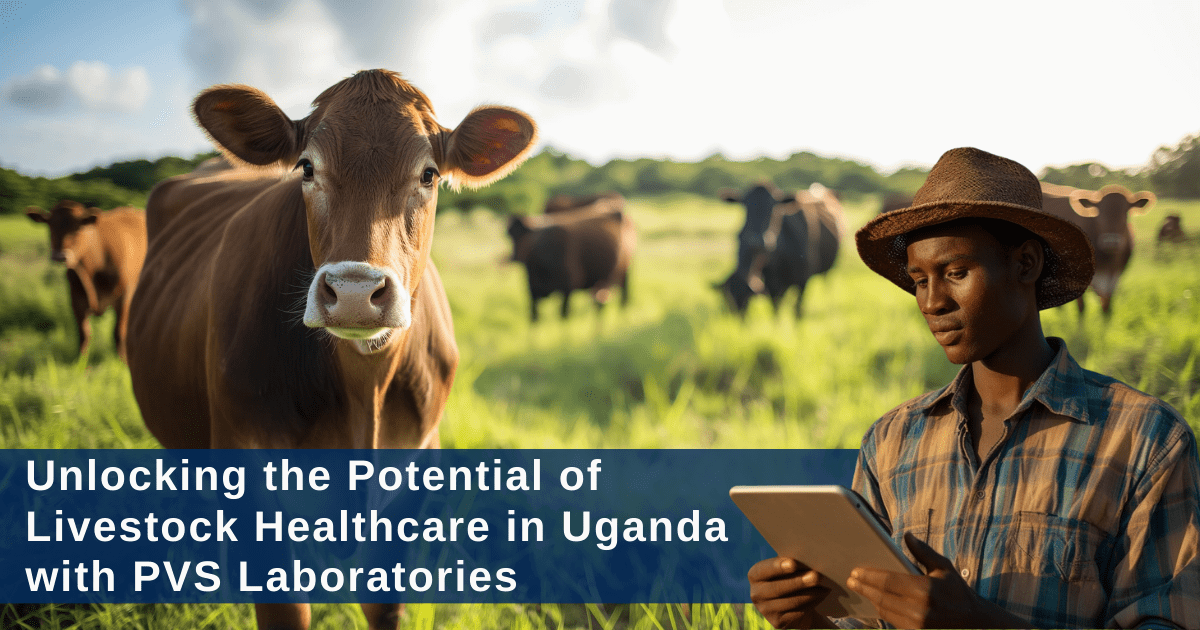 Uganda Animal Feed Supplement