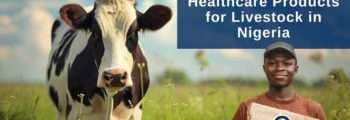 Livestock Health in Nigeria